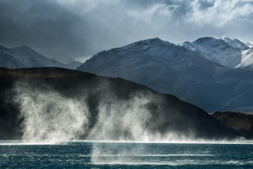 Wild Tekapo